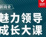 张琦·新商业魅力领导成长大课2023新版，高效管理必修课（30节）