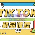 电商孵化中心·TikTok精品课程，教你玩转海外抖音，低成本创业，带您从0开始玩转TikTok