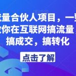 第九公社流量合伙人项目，一整套私域流量课程，教你在互联网搞流量，卖产品，搞成交，搞转化