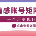 情感账号矩阵项目，简单操作，月入10万+可放大（教程+素材）