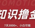 “抖音知识撸金项目：简单粗暴日入1000+执行力强当天见收益(教程+资料)