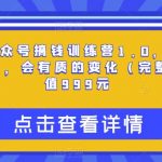 价值999元公众号搞钱陪训资料1.0（完整版），坚持个1-2个月，会有质的变化