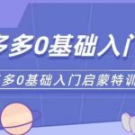 拼多多运营0-1实操特训营，拼多多0基础入门，从基础到进阶的可实操玩法