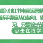 小红书电商运营精通课，帮助新手卖家从0走向1，告别无效学习，只需这3节课