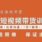 短视频带货第16期，一部手机，碎片化时间，零基础也能做，听话照做，保证出单