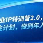 创业IP特训营2.0，IP合伙人掘金计划，做到年入50W