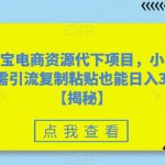 淘宝电商资源代下项目，小白无需引流复制粘贴也能日入300＋【揭秘】