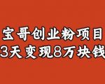 宝哥IP图文创业粉引流项目实战分享：单个账号3天涨粉1万，变现8万块钱（图文教程）【揭秘】