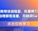 视频号矩阵带货训练营，批量暴力起号，撬动视频号流量，月利润5w+