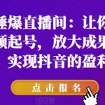 短视频锤爆直播间：让你快速学会短视频起号，放大成果的爆量技巧，实现抖音的盈利模型