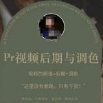 Pr视频后期与调色，视频颜值=后期+调色，这里没有套路，只有干货！