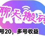 最新蓝海聊天平台手动搬砖，单号日入20，多号多撸，当天见效益