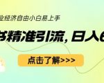 小红书精准引流，小白日入600+，轻松实现副业经济自由（教程+1153G资源