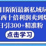 蓝海项目陌陌最新私域玩法，20 的东西十倍利润卖到爆单，日引300+精准粉【揭秘】