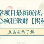 揭秘国学项目最新玩法，利用慈悲心疯狂敛财【揭秘】