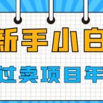 新手小白如何通过卖项目年入50W【揭秘】