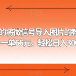 外面收费66的将微信号导入图片的教程，可自用或卖教程，一单66元，轻松日入300+【揭秘】