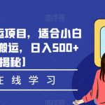 影视推广搬运项目，适合小白操作，无脑搬运，日入500+【揭秘】