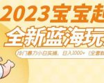 2023宝宝起名全新蓝海玩法，冷门暴力小白实操，日入1000+（全套教程）【揭秘】