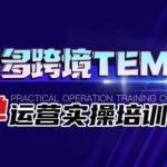 拼多多跨境TEMU爆单运营实操培训班，海外拼多多的选品、运营、爆单