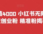 首发价值4000 小红书无限艾特暴力引流创业粉 精准粉揭秘教程”