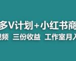 【蓝海项目】多多v计划+小红书商单一个视频三份收益工作室月入10w”