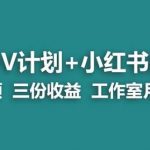 【蓝海项目】多多v计划+小红书商单一个视频三份收益工作室月入10w”