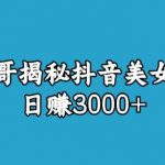 宝哥揭秘抖音美女号玩法，日赚3000+【揭秘】