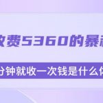 外面收费5360的暴利项目，几分钟就收一次钱是什么体验，附素材【揭秘】