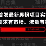 9月首发最新男粉项目实操思路-需求有市场，流量有渠道【揭秘】