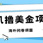 最新挂机撸美金礼品卡项目，可批量操作，单机器200+【入坑思路+详细教程】