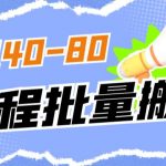 外面收费698的携程撸包秒到项目，单机40-80可批量