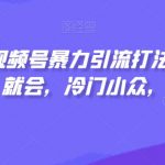 视频号暴力引流打法，小白一看就会，冷门小众，日入300+【揭秘】