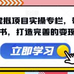 小红书虚拟项目实操专栏，带你玩转小红书，打造完善的变现体系