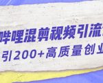 哔哩哔哩B站混剪视频引流创业粉日引300+