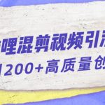 哔哩哔哩B站混剪视频引流创业粉日引300+