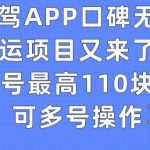 有驾APP口碑无脑搬运项目又来了，单号最高110块，可多号操作