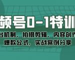 视频号0-1特训营：平台机制、拍摄剪辑、内容创作、爆款公式，实战案例分享