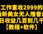 外面工作室收2999的项目最新美女无人撸音浪日收益几百到几千【教程+软件】（仅揭秘）