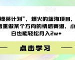 绿茶计划”，爆火的蓝海项目，着重做某个方向的情感赛道，小白也能轻松月入2w+【揭秘】