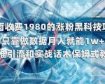 外面收费1980的涨粉黑科技项目，只靠做数据月入就能1w+【揭秘】