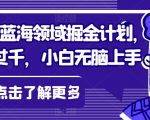 日入过千掘金计划，视频号蓝海领域，小白无脑上手