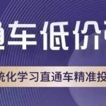 直通车低价引流课，系统化学习直通车精准投放