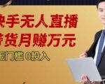 2023蓝海项目，快手无人直播，单号月入5000起步【揭秘】