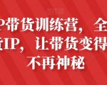 素人IP带货训练营，全平台最强带货IP，让带货变得简单、不再神秘