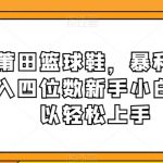 卖莆田篮球鞋，暴利掘金日入四位数新手小白都可以轻松上手【揭秘】