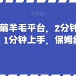 最新国外薅羊毛平台，2分钟视频收益50+，1分钟上手，保姆级教程【揭秘】