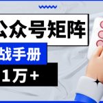 AI流量主系统课程基础版1.0，GPT+公众号矩阵实战手册【揭秘】