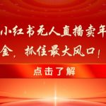 新春倒计时！小红书无人直播卖年货，无货源撸金，抓住最大风口【揭秘】