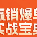 赢销爆单实战宝典，58个爆单绝招，逆风翻盘